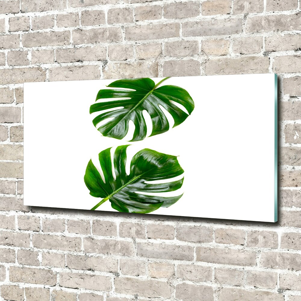 Tableau sur verre acrylique Monstera feuilles