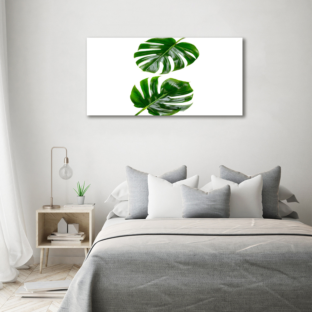 Tableau sur verre acrylique Monstera feuilles