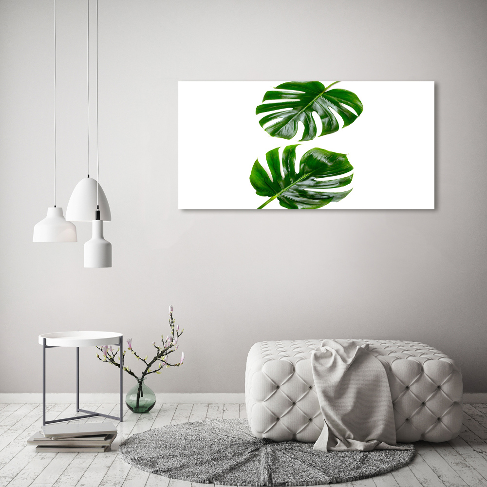 Tableau sur verre acrylique Monstera feuilles