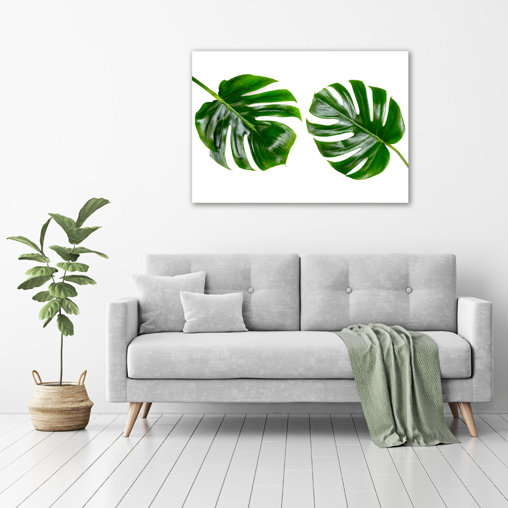 Tableau sur verre acrylique Monstera feuilles