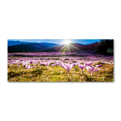 Acrylique tableau Crocus dans une clairière