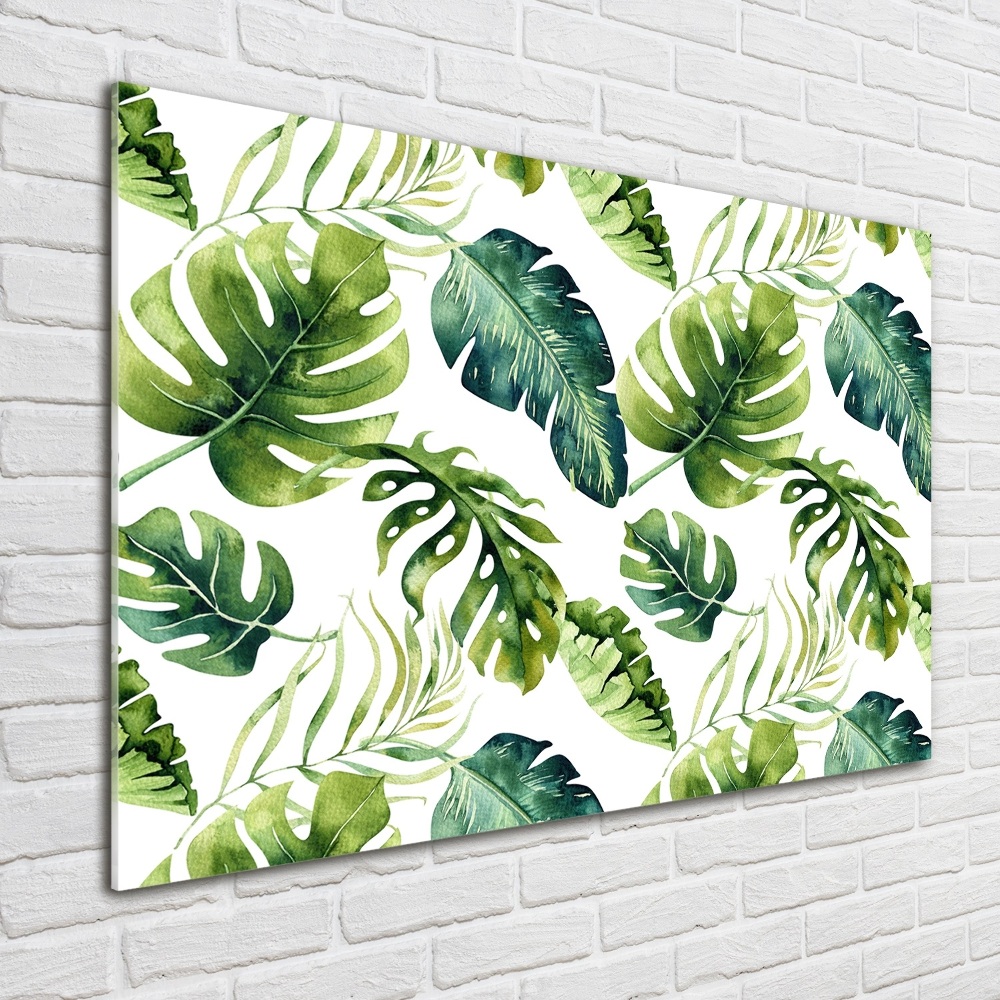 Tableau verre acrylique Feuilles tropicales