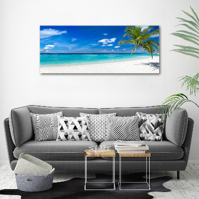 Tableau sur verre acrylique Plage exotique