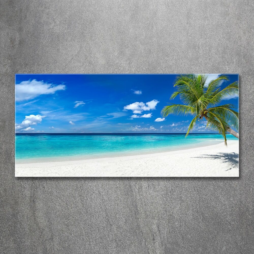 Tableau sur verre acrylique Plage exotique