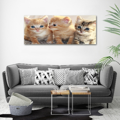 Acrylique tableau Petits chats