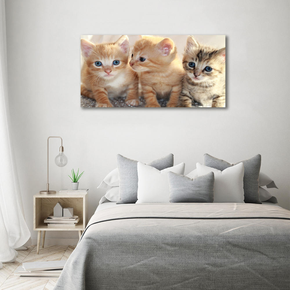 Acrylique tableau Petits chats