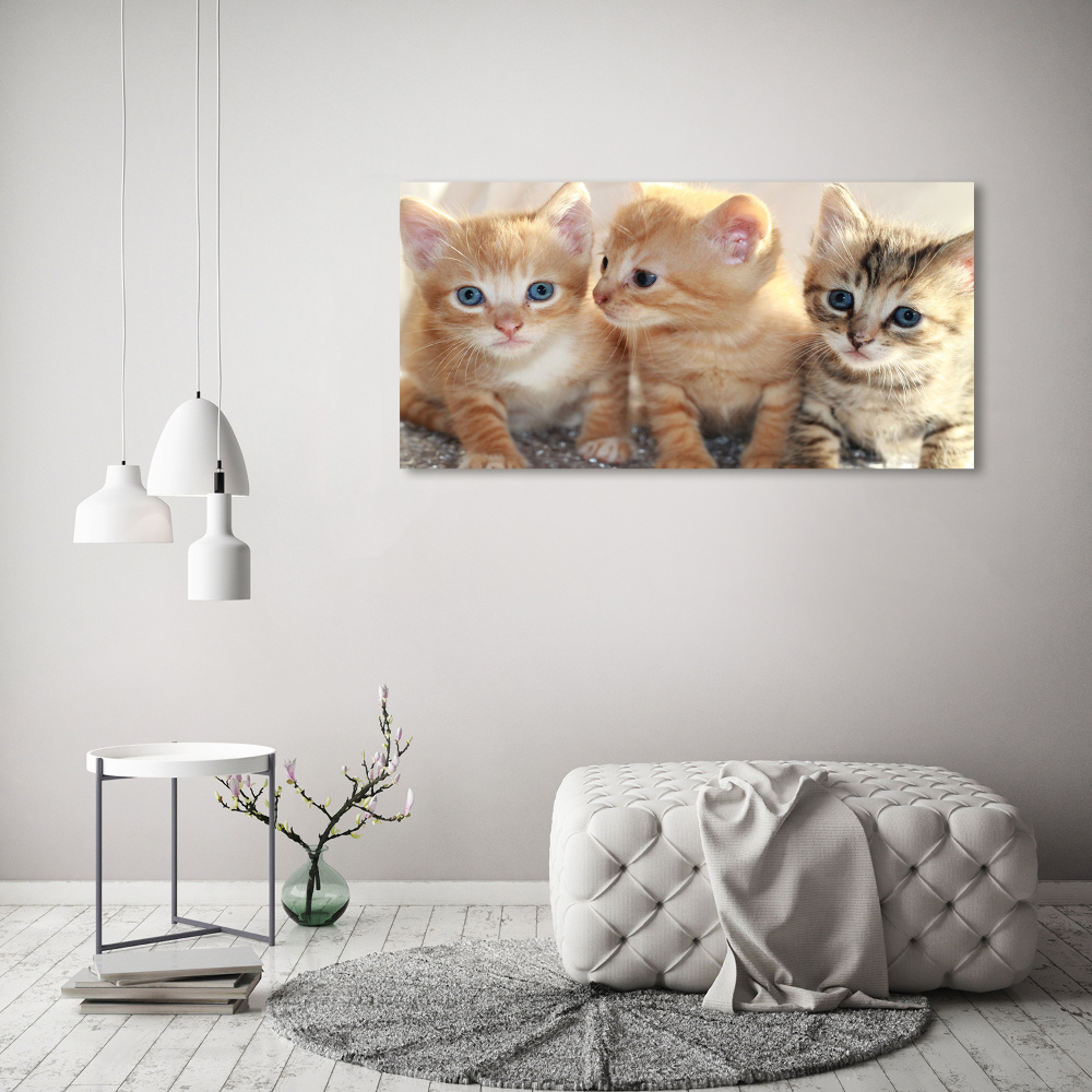 Acrylique tableau Petits chats