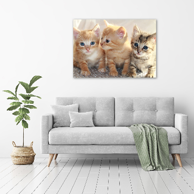 Acrylique tableau Petits chats