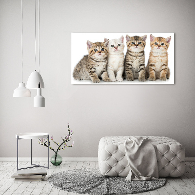 Tableau en acrylique Petits chats