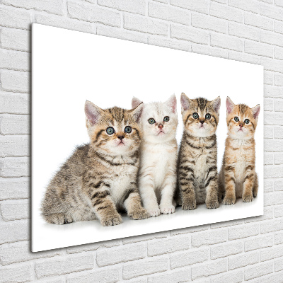 Tableau en acrylique Petits chats