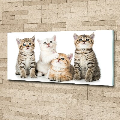 Tableau acrylique Petits chats