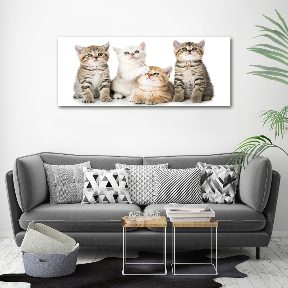 Tableau acrylique Petits chats