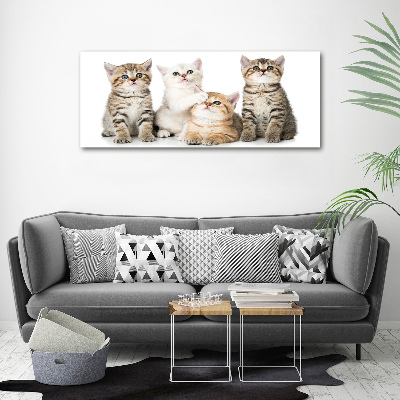 Tableau acrylique Petits chats