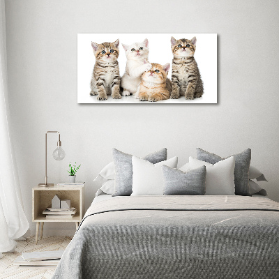 Tableau acrylique Petits chats