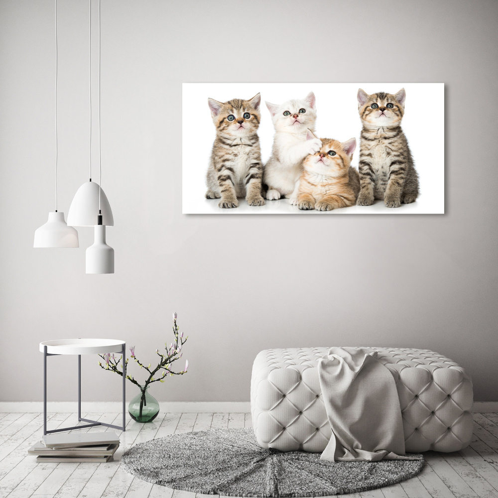 Tableau acrylique Petits chats