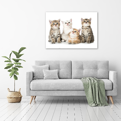 Tableau acrylique Petits chats