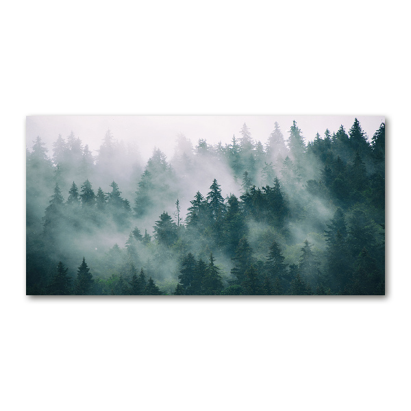 Tableau sur verre acrylique Brouillard sur la forêt