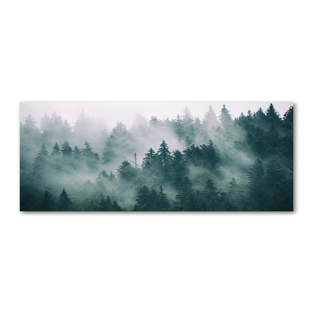 Tableau sur verre acrylique Brouillard sur la forêt