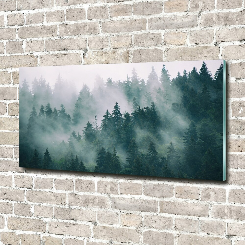 Tableau sur verre acrylique Brouillard sur la forêt