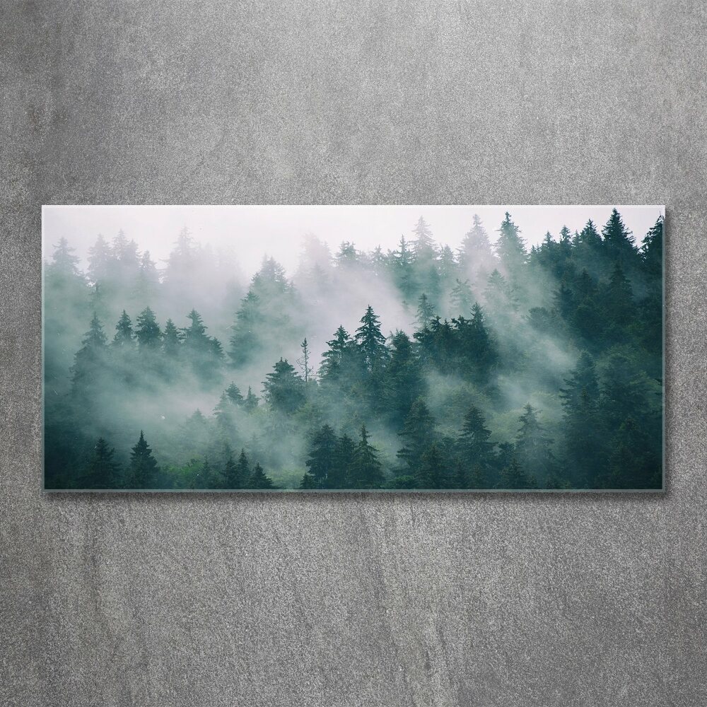 Tableau sur verre acrylique Brouillard sur la forêt