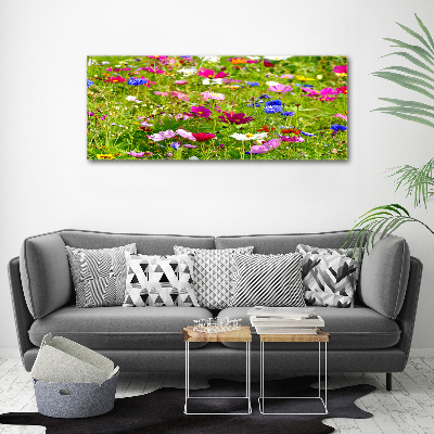 Tableau acrylique Fleurs des champs