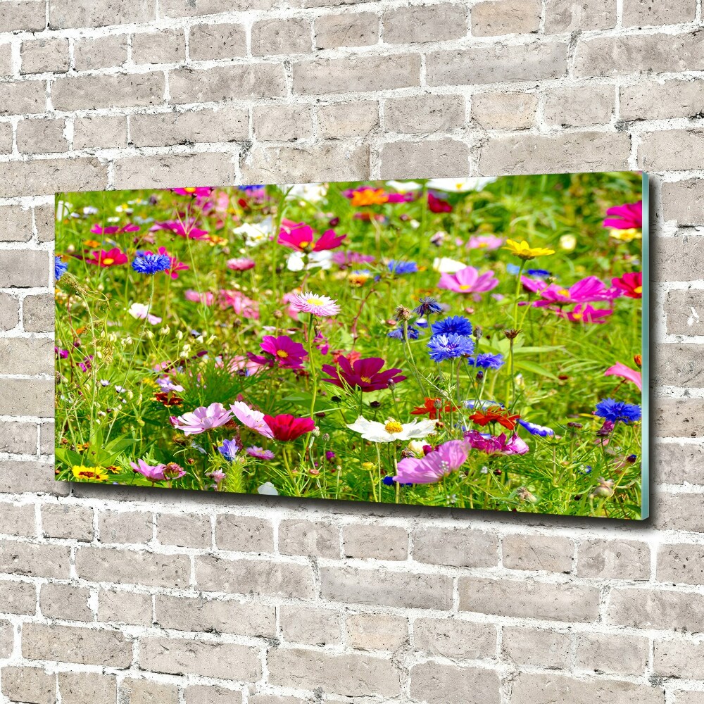 Tableau acrylique Fleurs des champs