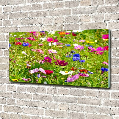 Tableau acrylique Fleurs des champs