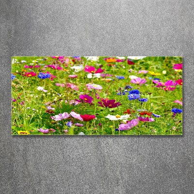 Tableau acrylique Fleurs des champs