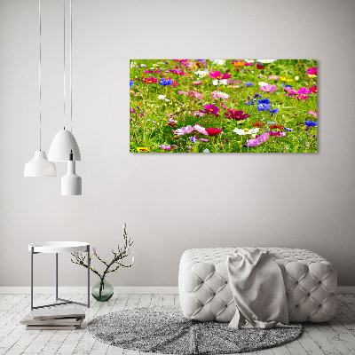 Tableau acrylique Fleurs des champs