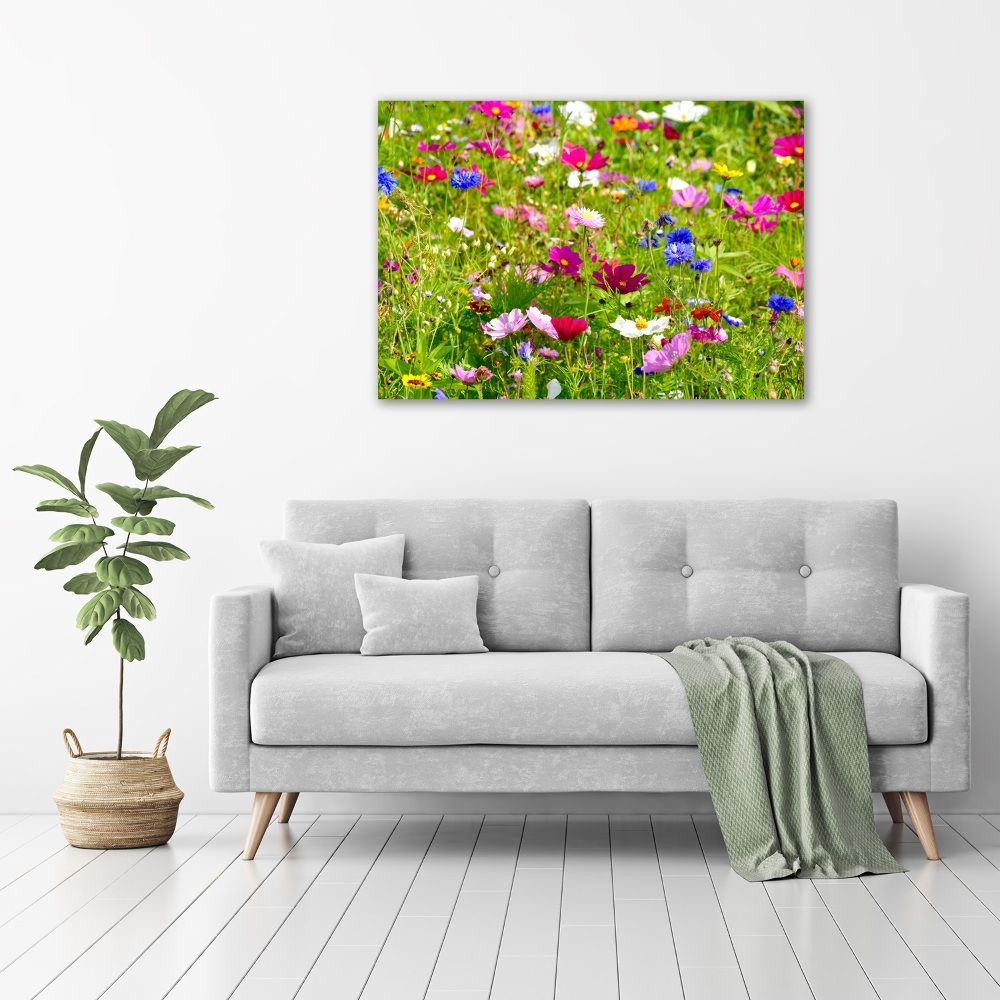 Tableau acrylique Fleurs des champs