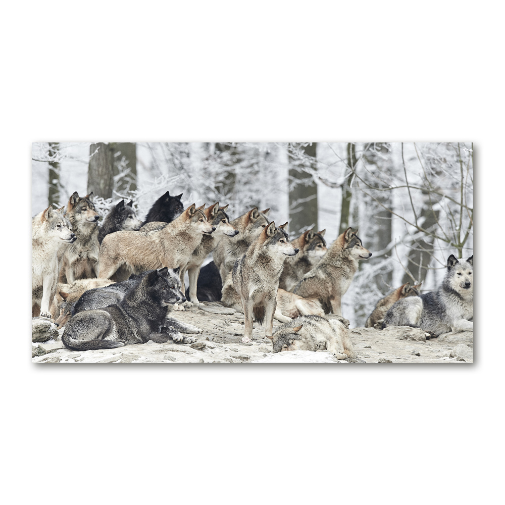 Tableau acrylique Loups en hiver