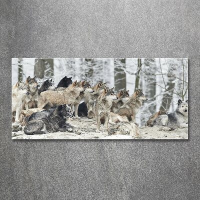 Tableau acrylique Loups en hiver