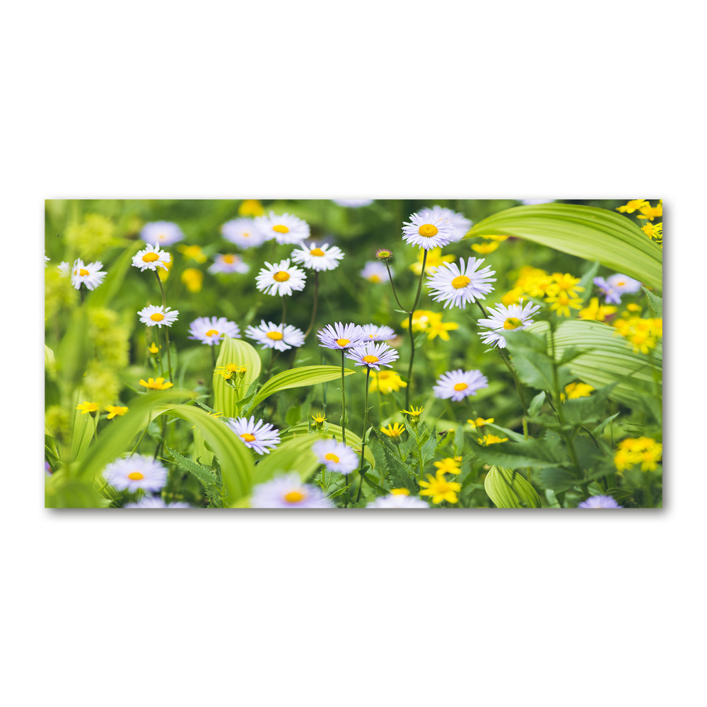 Tableau acrylique Marguerites