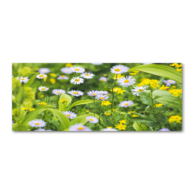 Tableau acrylique Marguerites