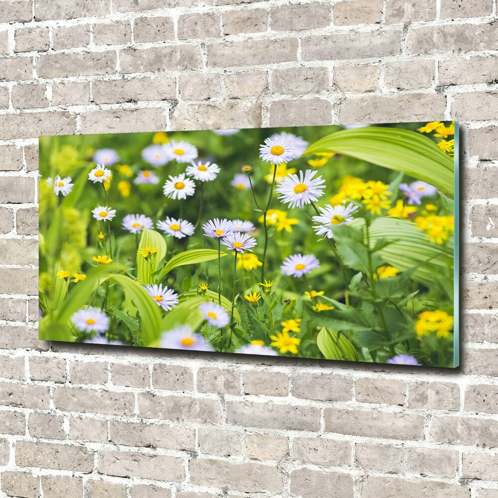 Tableau acrylique Marguerites