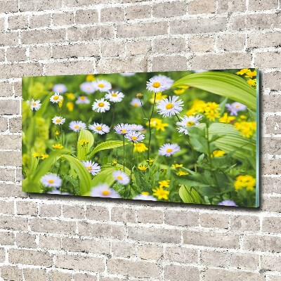 Tableau acrylique Marguerites