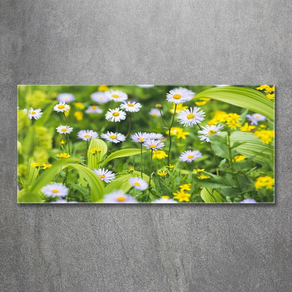 Tableau acrylique Marguerites