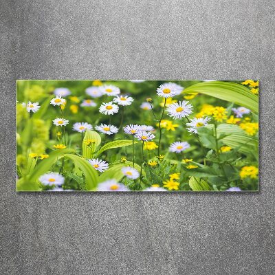 Tableau acrylique Marguerites