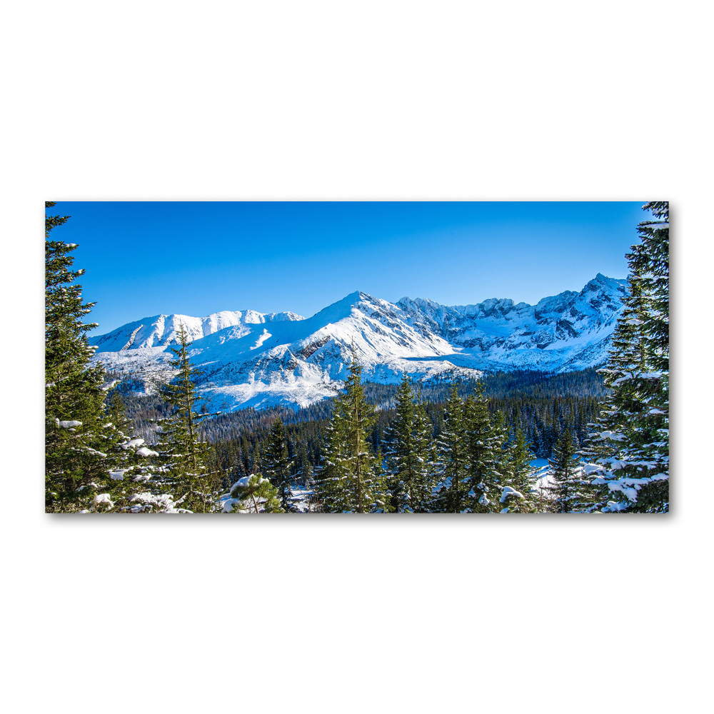 Tableau sur verre acrylique Panorama des Tatras