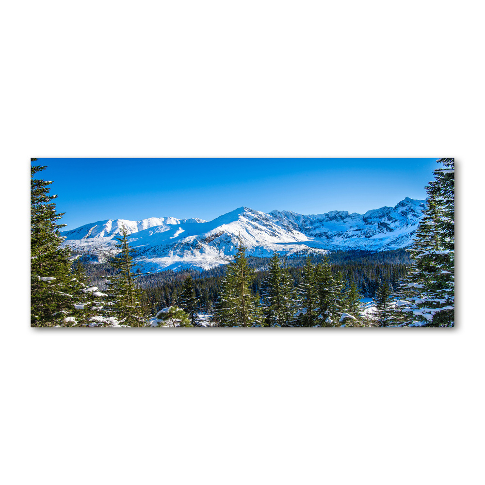 Tableau sur verre acrylique Panorama des Tatras