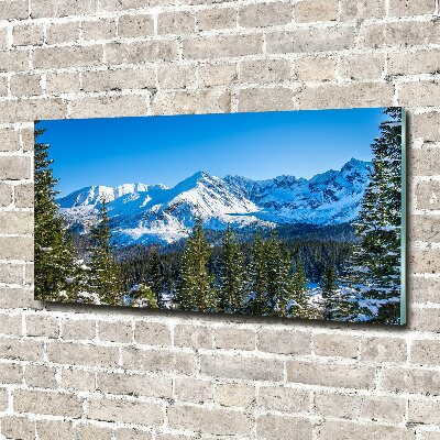 Tableau sur verre acrylique Panorama des Tatras