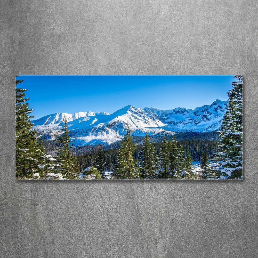 Tableau sur verre acrylique Panorama des Tatras