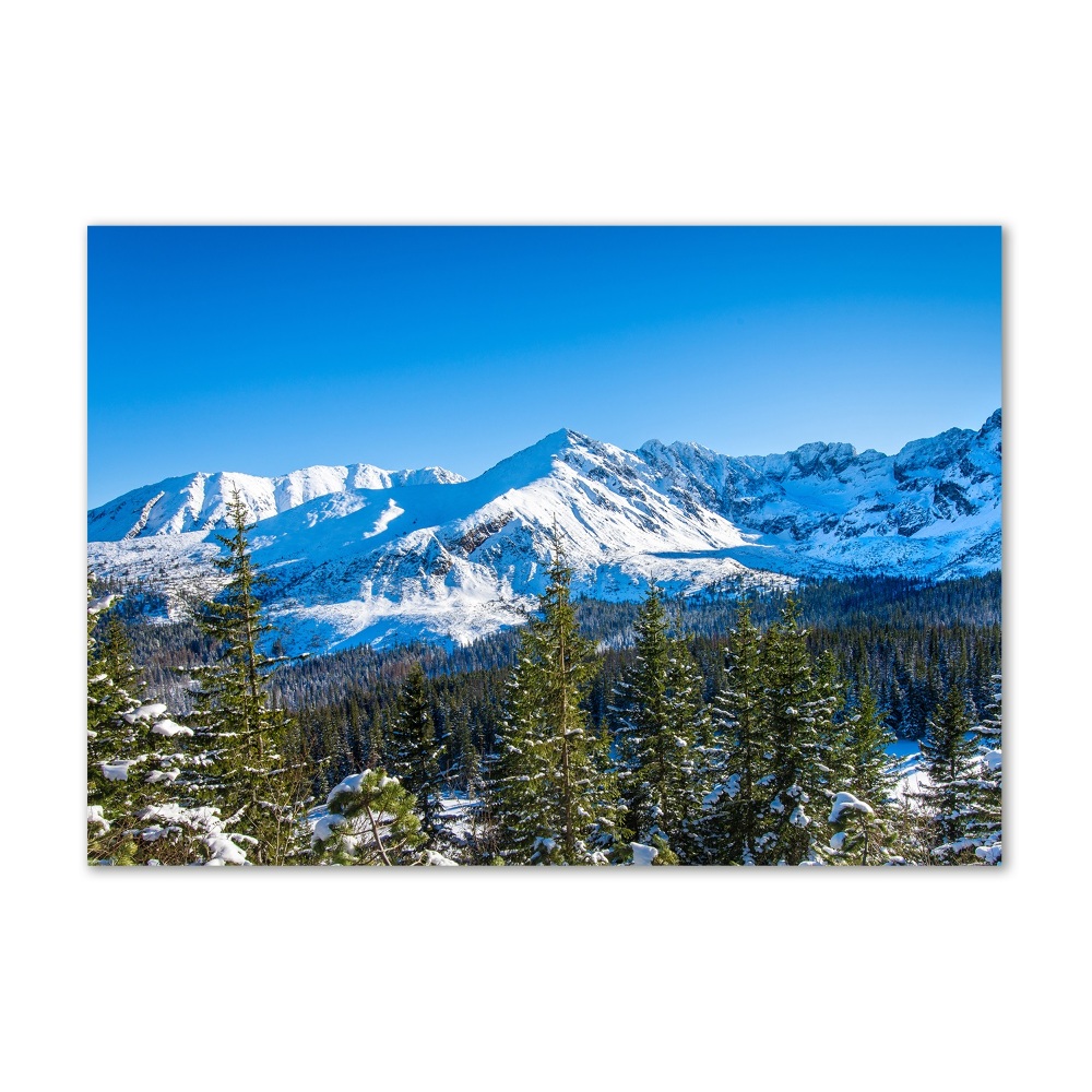 Tableau sur verre acrylique Panorama des Tatras