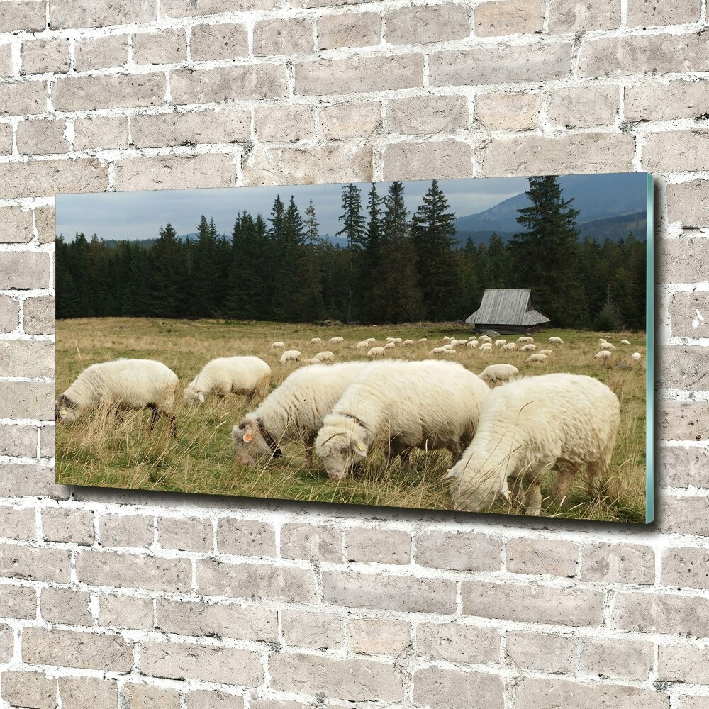 Tableau acrylique Moutons au pâturage