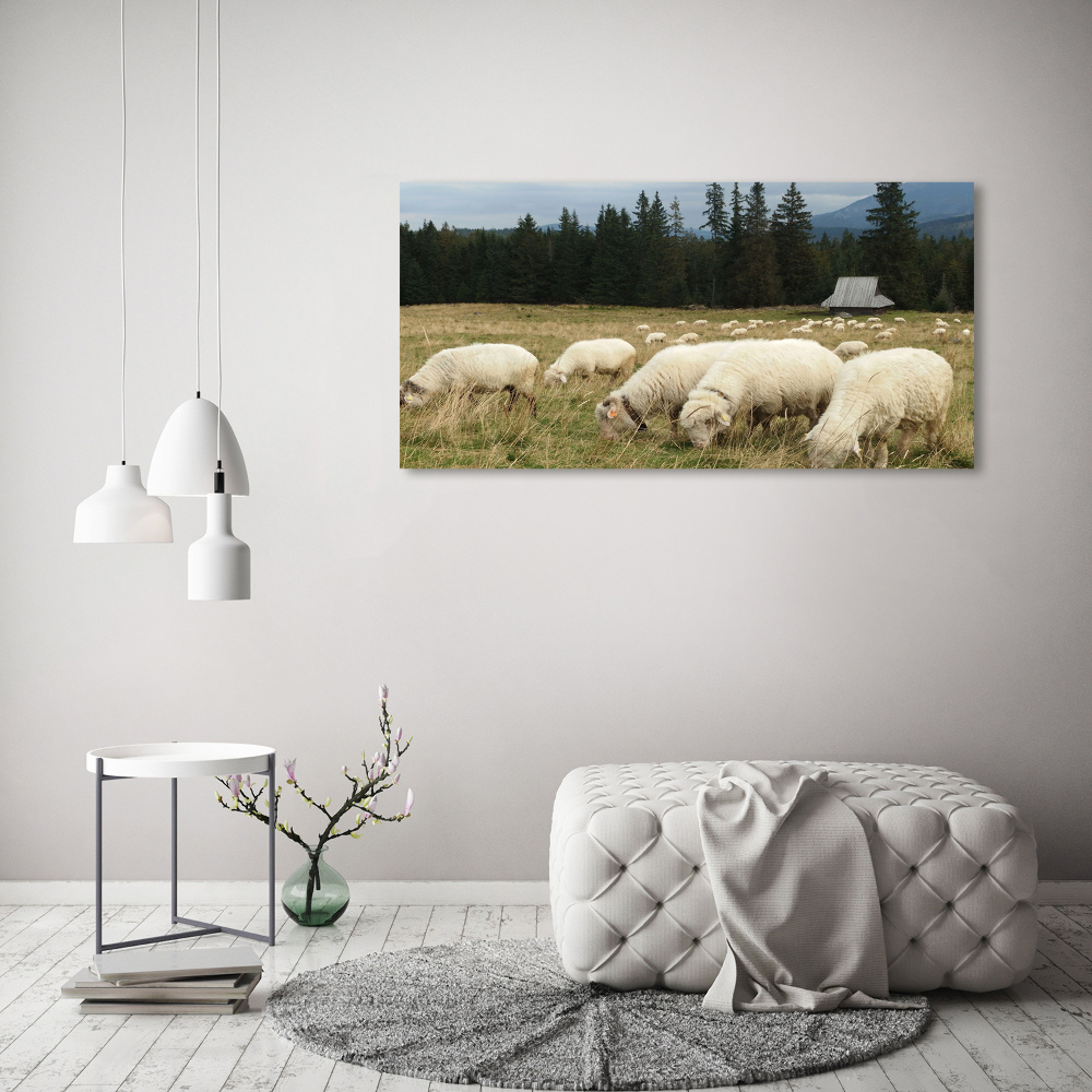 Tableau acrylique Moutons au pâturage