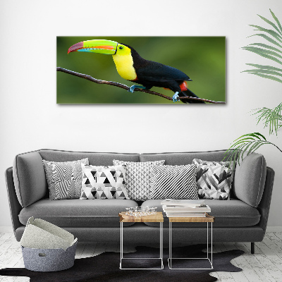 Tableau verre acrylique Toucan