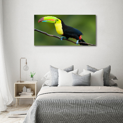 Tableau verre acrylique Toucan