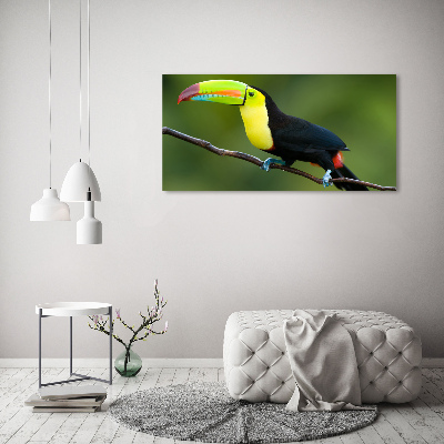 Tableau verre acrylique Toucan