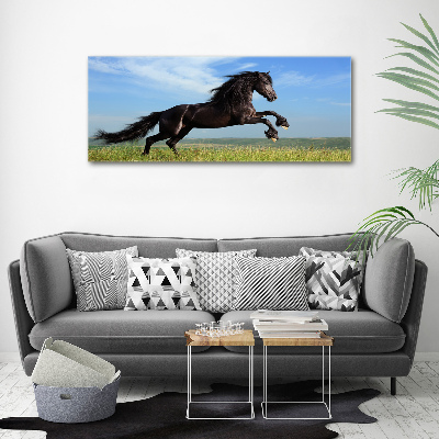 Tableau acrylique Cheval noir dans un pré