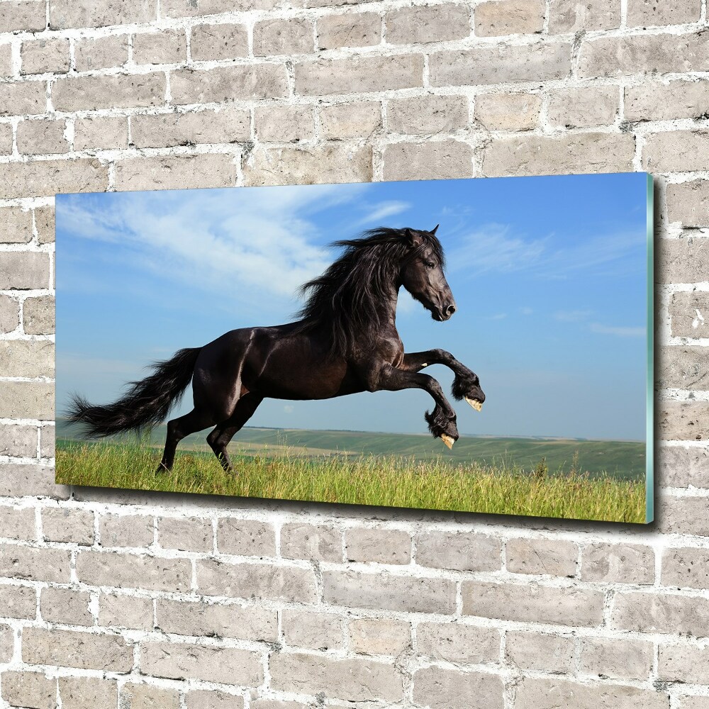 Tableau acrylique Cheval noir dans un pré